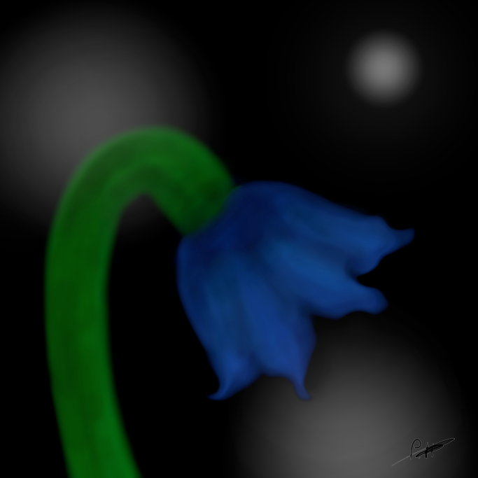 Eine blaue Blume mit grünem Stiel auf dunklem Hintergrund.