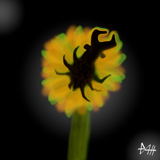 Schwarze Silhouette eines Insekts auf einer leuchtend gelben Blüte vor dunklem Hintergrund.